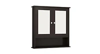 Bathroom Wall-Mount Mirror Cabinet Organizer for Stylish Storage and Space-Saving Solutions