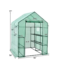 Walk-in Greenhouse 56 x 56 x 77 Inch Gardening with Observation Windows