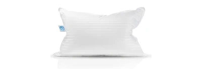 East Coast Bedding 50% Down, 50% Feather Bed Pillow Standard, Pack of 1