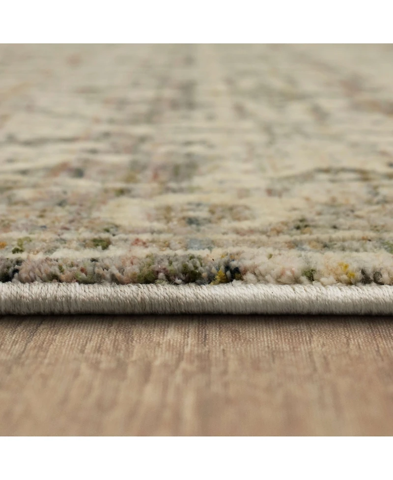 Karastan Divina Virtuous 2'6" x 7'10" Runner Area Rug