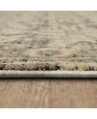 Karastan Divina Virtuous 2'6" x 7'10" Runner Area Rug
