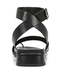 Naturalizer Birch Ankle Strap Sandals