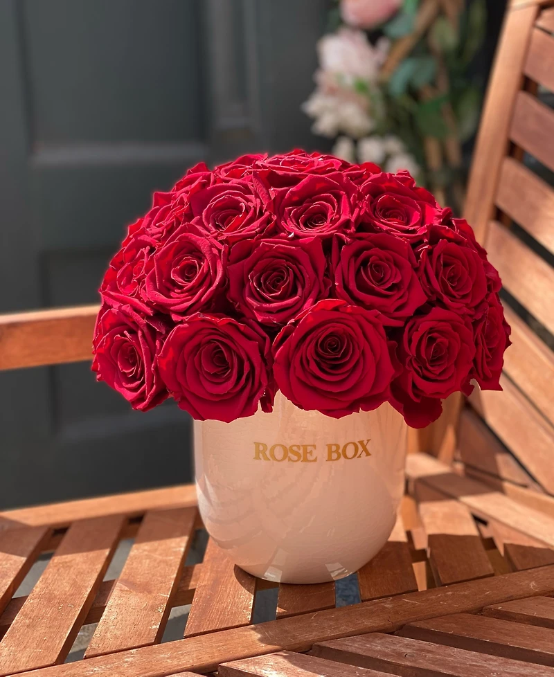 Rose Box Nyc Half Ball of Long Lasting Preserved Real Roses in Classic Ceramic Vase, 35 Roses
