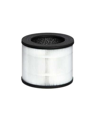 Homedics TotalClean Replacement Hepa-Type Filter for Homedics, Ap-T10
