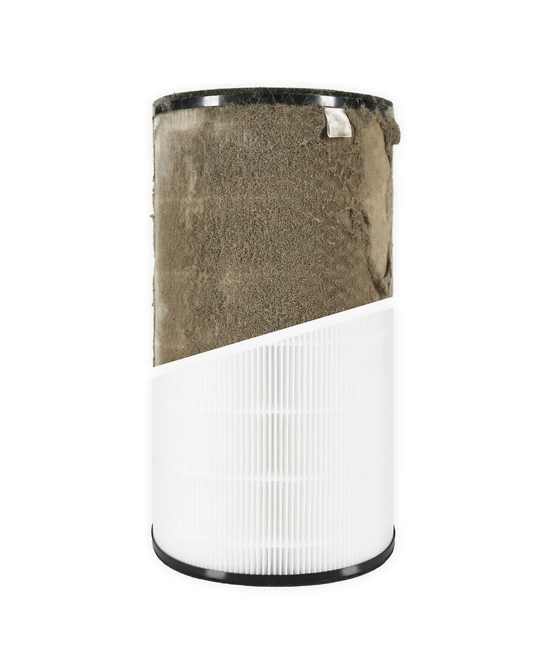 Homedics True Hepa Replacement Filter for Homedics, Ap-T200