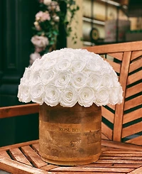 Rose Box Nyc Half Ball of Pure White Long Lasting Preserved Real Roses Xl Rustic Vase, 80 Roses