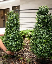 Nearly Natural 3ft. Uv Resistant Artificial Boxwood Plant with Integrated Ground Stake Indoor/Outdoor - Set of 2