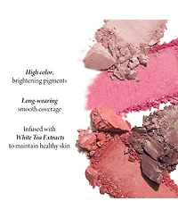 Laura Geller Beauty Baked Blush-n-Brighten Marbleized Blush