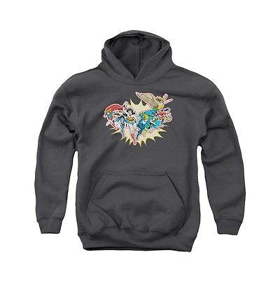 Dc Comics Youth Please Get Me Pull Over Hoodie / Hooded Sweatshirt