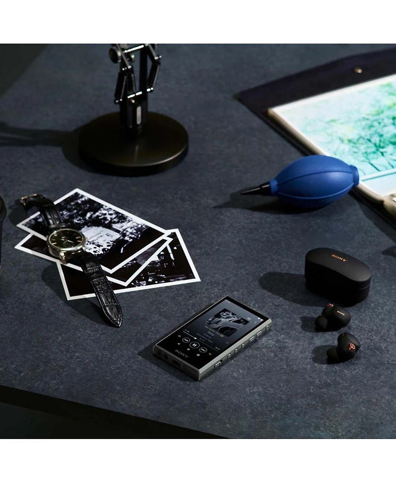 Sony Nw-A306 Walkman A Series Hi-Res Digital Music Player