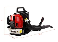52Cc 2-Cycle Gas Backpack Leaf Blower With Extension Tube