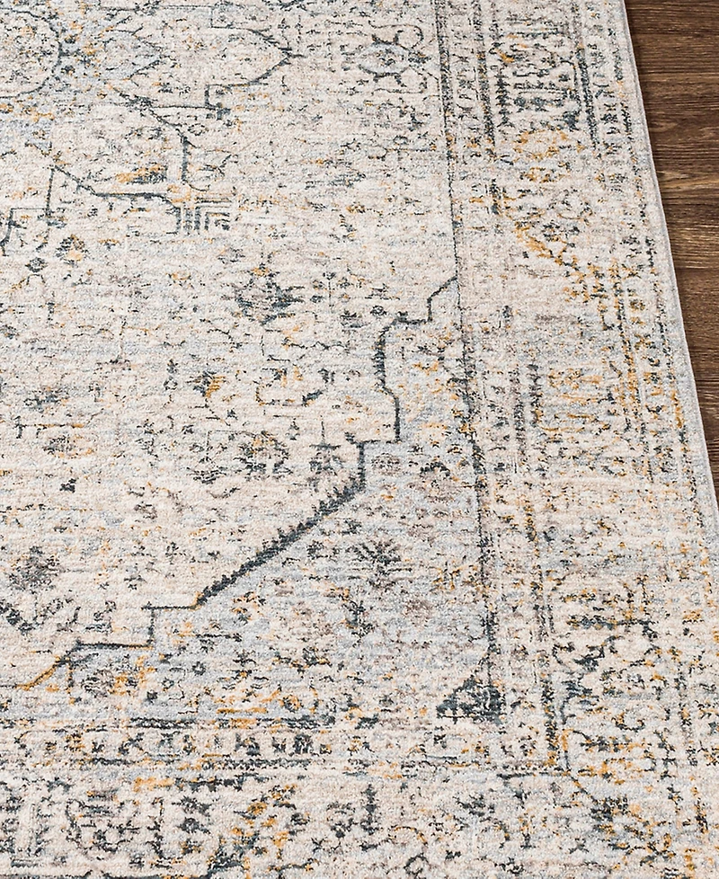 Livabliss Laila Laa-2310 2'x3' Area Rug