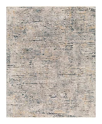 Livabliss Cardiff Cdf-2301 2'x3' Area Rug