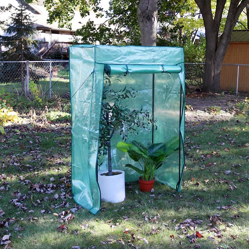 Outdoor Deluxe Portable Large Potted Plant and Starter Tomato Plant Greenhouse with Roll-Up Door - Green