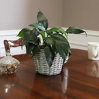 5-Piece Wicker Planter Basket Set with Handles - Plastic Lined Containers - For Indoor Use Only - Willow Wicker Construction with Steel Wire Frame