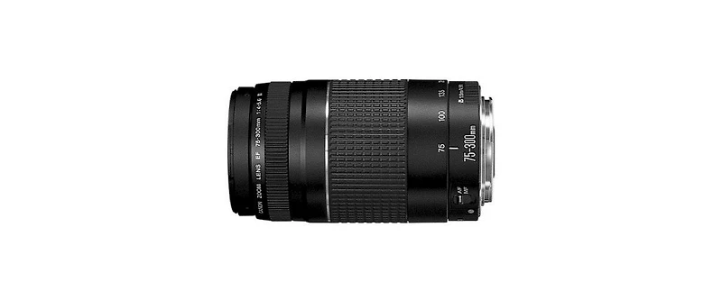 Canon Eos Rebel T7 Dslr Camera with Ef-s 18-55mm f/3.5-5.6 Is Ii Lens and Ef 75-300mm f/4-5.6 Iii Lens