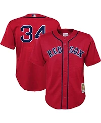Mitchell Ness Preschool David Ortiz Red Boston Red Sox Cooperstown Collection Mesh Batting Practice Jersey