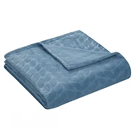 Kate Aurora Pastel Chic Embossed Leaves Ultra Plush Accent Throw Blanket - 50 in. W x 60 L