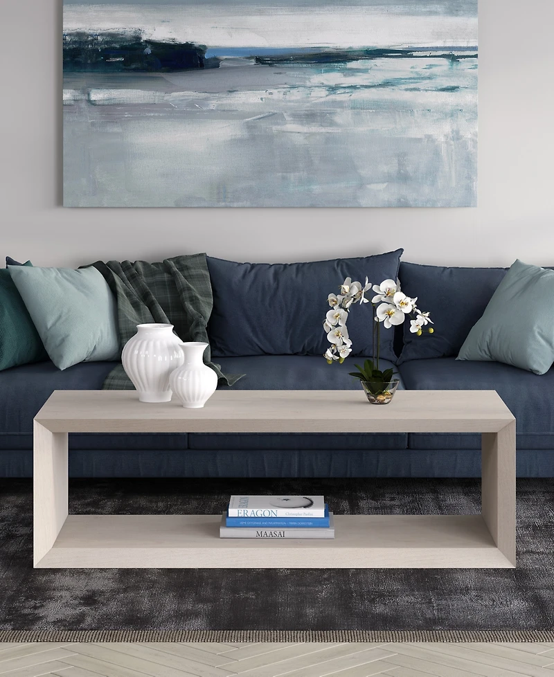 Hudson & Canal Osmond 58" Wide Rectangular Coffee Table in Alder White