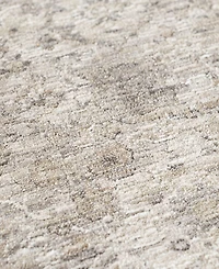 Dalyn Cyprus CY10 9'x13'2 Area Rug