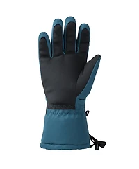 Alpine Swiss Mens Waterproof Ski Gloves Snowboarding 3M Thinsulate Winter Gloves