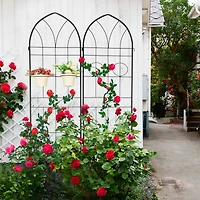 Streamdale 78.7" X 19.7" Metal Garden Trellis for Climbing Plants