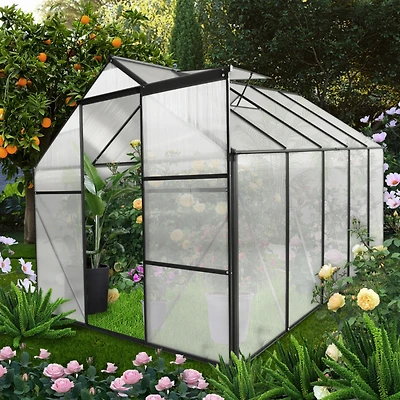 Streamdale Durable 6x10 Ft Polycarbonate Greenhouse