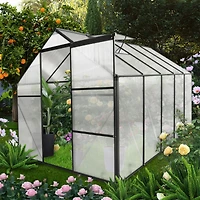 Streamdale Durable 6x10 Ft Polycarbonate Greenhouse