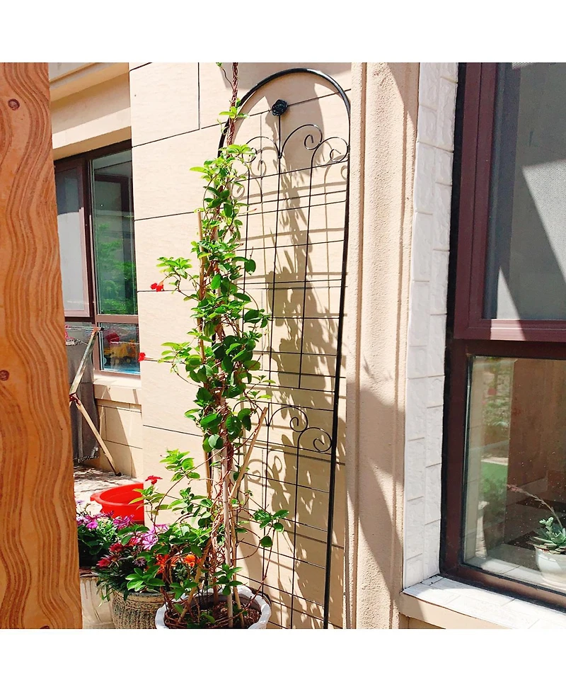Streamdale Furniture Rustproof Metal Garden Trellis for Climbing Plants