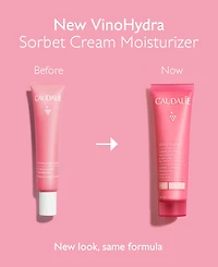 Caudalie VinoHydra Sorbet Cream Moisturizer, 2 oz.