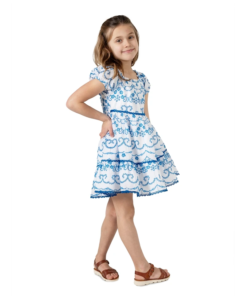 Rare Editions Toddler & Little Girls Embroidered Eyelet Dress