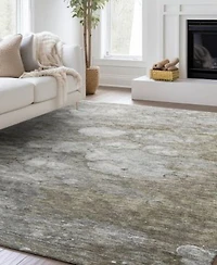 Dalyn Trevi Washable Tv7 Rug Collection