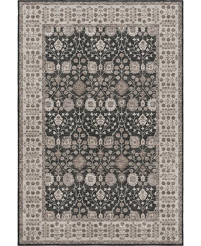 Dalyn Hatay Washable HY8 2'6"x3'10" Area Rug