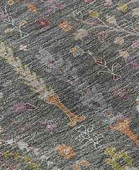 Dalyn Hatay Washable HY5 9'x12' Area Rug