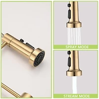 Streamdale Furniture Pull Down Sprayer Spring Kitchen Sink Faucet Brushed Gold