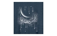 Hybrid Apparel Falling Stars Plus Graphic Pullover