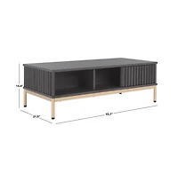 Lylia 2 Door Coffee Table
