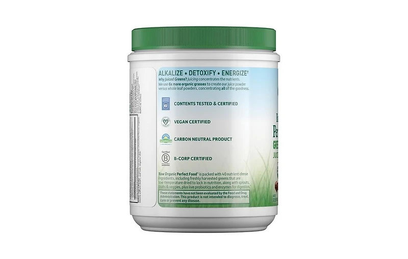 Garden of Life Raw Organic Perfect Food Green Superfood Chocolate Powder, 285 g
