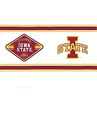 Tervis Tumbler Iowa State Cyclones 24oz. First String Classic Tumbler