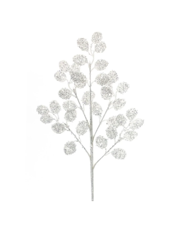 Versatile Silver Dollar Spray Set (Pack of 6) - Ideal for Enhancing Home and Event Spaces with Natural Elements