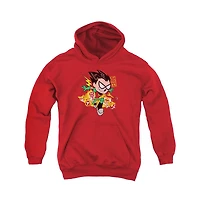 Teen Titans Go Youth Robin Pull Over Hoodie / Hooded Sweatshirt