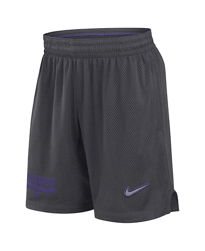 Nike Men's Anthracite Kansas State Wildcats 2024 Sideline Mesh Shorts