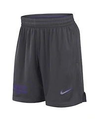 Nike Men's Anthracite Kansas State Wildcats 2024 Sideline Mesh Shorts
