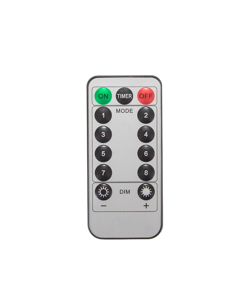 Stansport 30' Led Outdoor String Lights with Remote