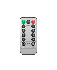 Stansport 30' Led Outdoor String Lights with Remote