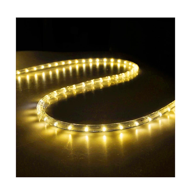 DELight 150' 2 Wire Led Rope Light Home In/Outdoor Party Xmas Lighting