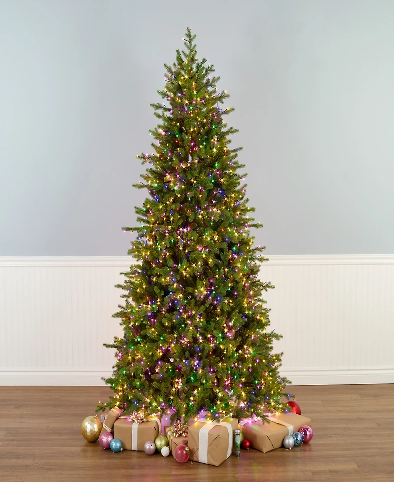 National Tree Company Princeton Fraser Fir Tree, 7.5 feet.