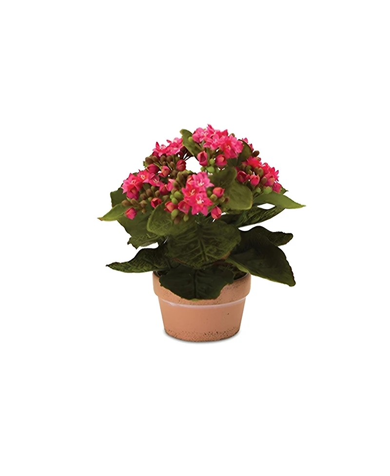 Slickblue Set of 4 Kalanchoe Plants with Pots-7 Inches High, Lifelike Artificial Flowers in Stylish Containers for Home Decor