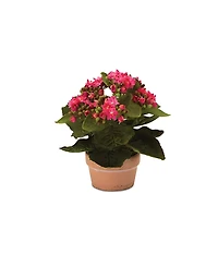 Slickblue Set of 4 Kalanchoe Plants with Pots-7 Inches High, Lifelike Artificial Flowers in Stylish Containers for Home Decor