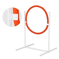 Streamdale Furniture 6Pack Dog Agility Training Equipment Set